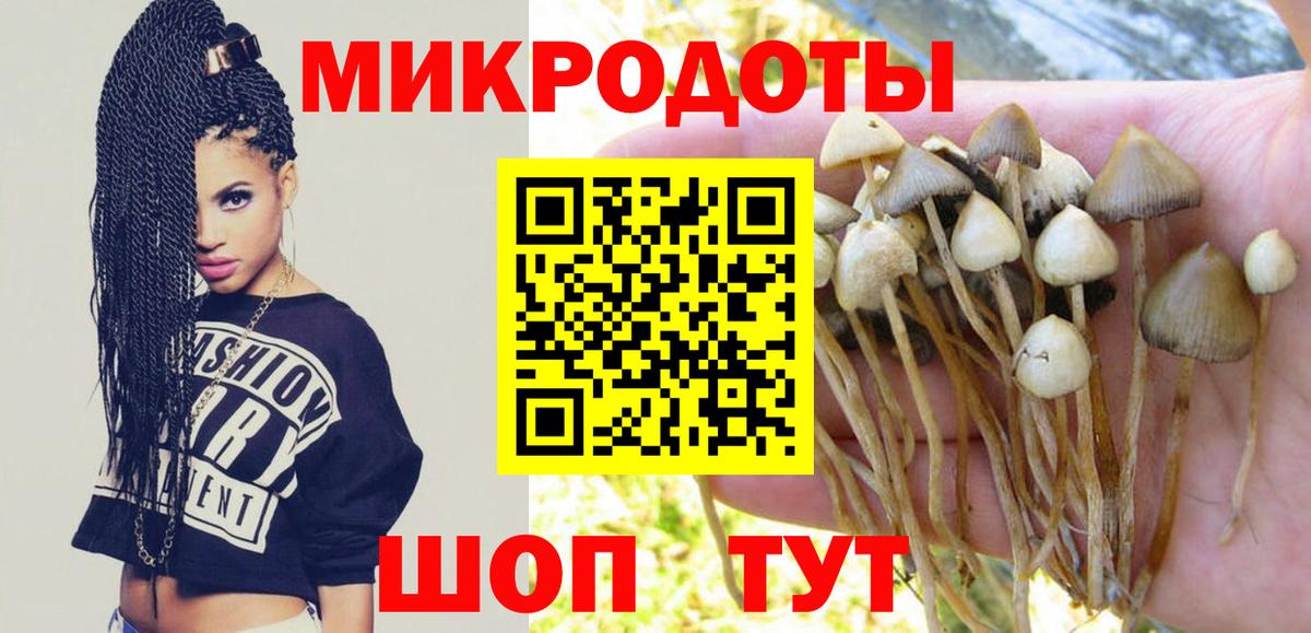 где можно купить наркотик  Галлюциногенные грибы прущие грибы  Вход с VPN  Сланцы  Галлюциногенные грибы GOLDEN TEACHER 