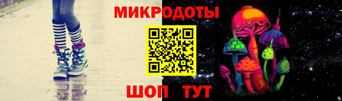 Галлюциногенные грибы прущие грибы Сланцы